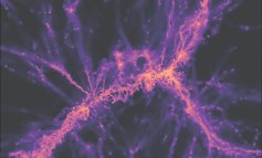 I ricercatori fotografano la “ragnatela cosmica” della materia oscura