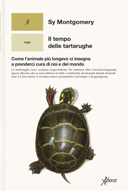 tartarughe