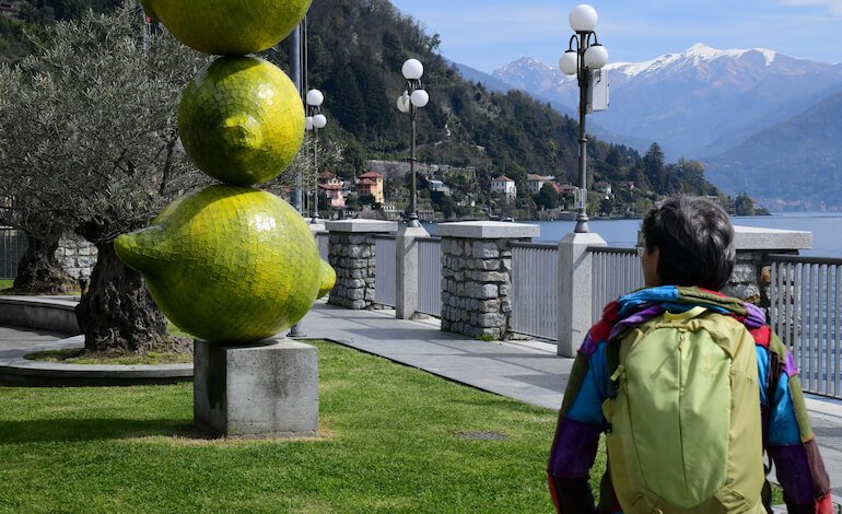 A spasso tra gli agrumi (e non solo)