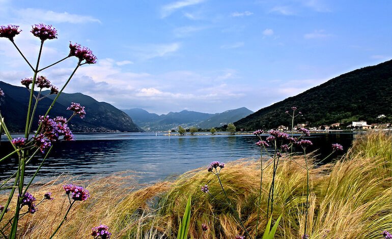 Natura sul lago di Iseo