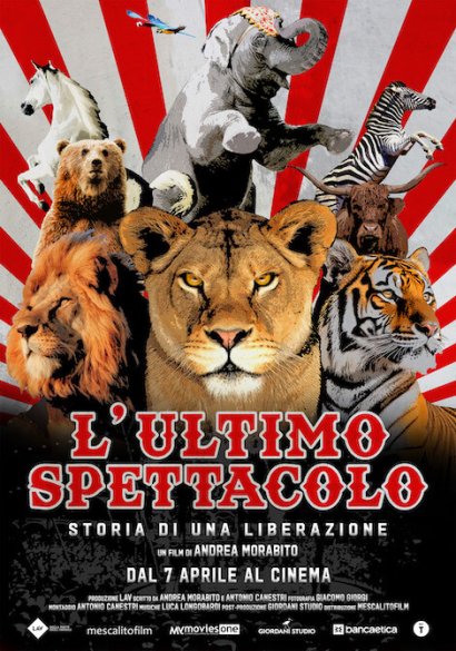 animali al circo