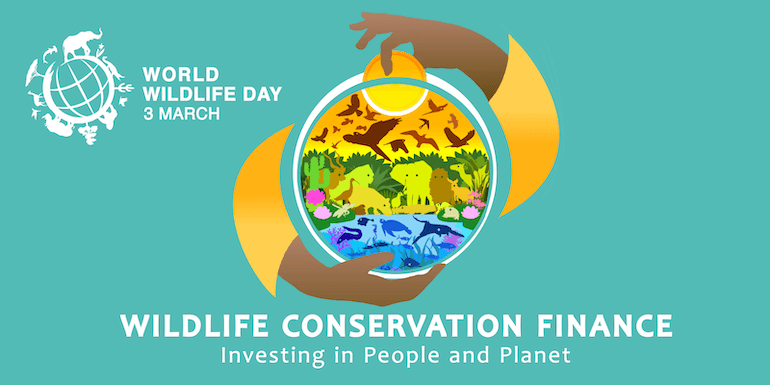 Giornata della fauna selvatica