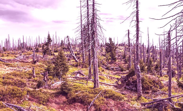 Letteratura tra anticipazione e realtà dell’ambiente che ci circonda