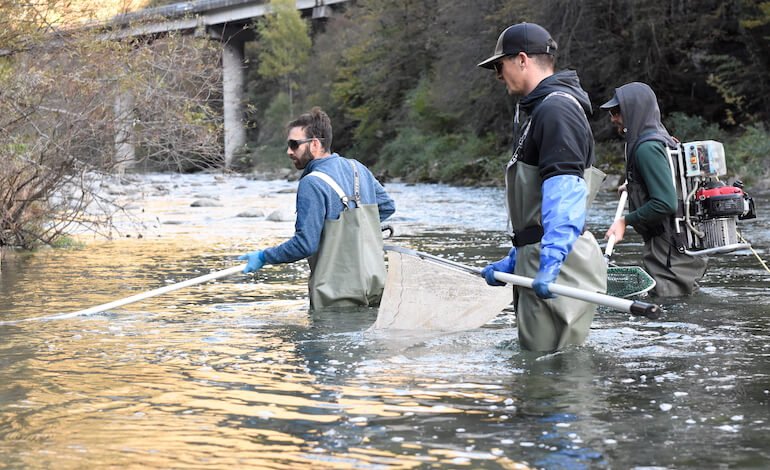 Il progetto per sostenere la biodiversità acquatica del Lago d’Orta
