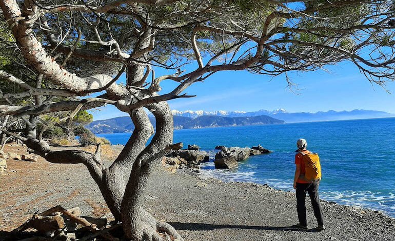 Passeggiata sull’isola di Palmaria