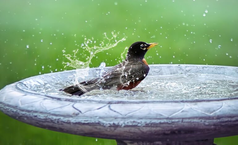 Anche l’ANCI si schiera per la protezione della natura