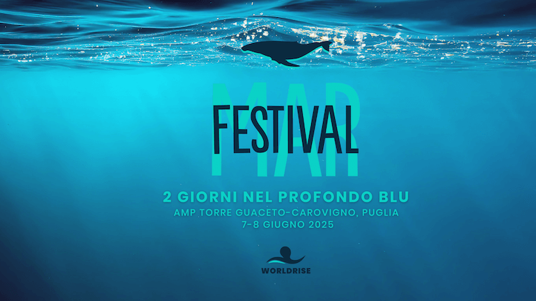 Festivalmar