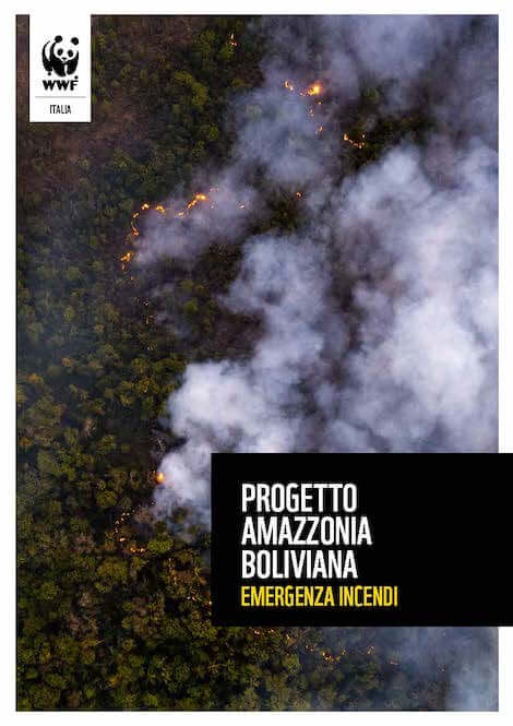 foresta amazzonica