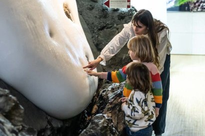 Percorso di visita dedicato ai ghiacciai