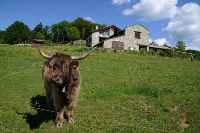 Rifugio La Maddalena