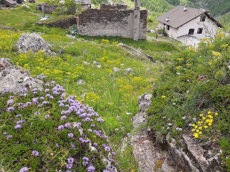 Val Troncea