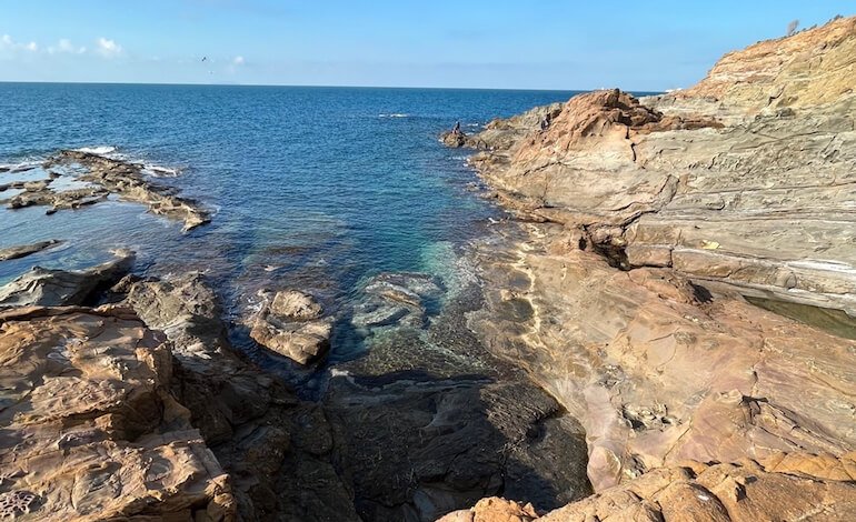 Le oscillazioni termiche minacciano gli ecosistemi marini