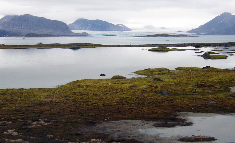 Cosmetici e farmaci nel fiordo artico Kongsfjorden