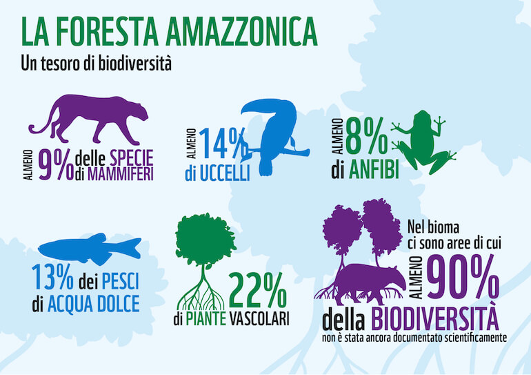 foresta amazzonica