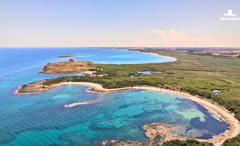 Festivalmar: due giorni nel profondo blu di Torre Guaceto con Worldrise