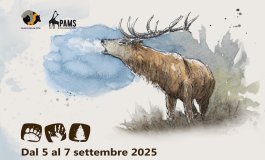 Coesistenza Festival