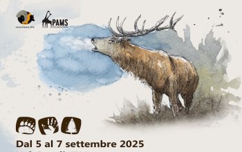 Coesistenza Festival