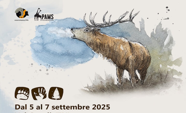 Coesistenza Festival, l’evento dedicato al rapporto fra uomo e mondo selvatico