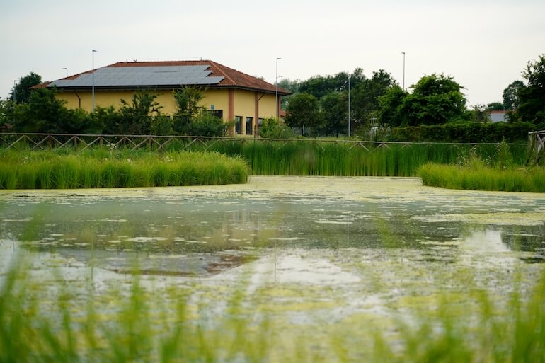 Oasi WWF Maresco-Pontile