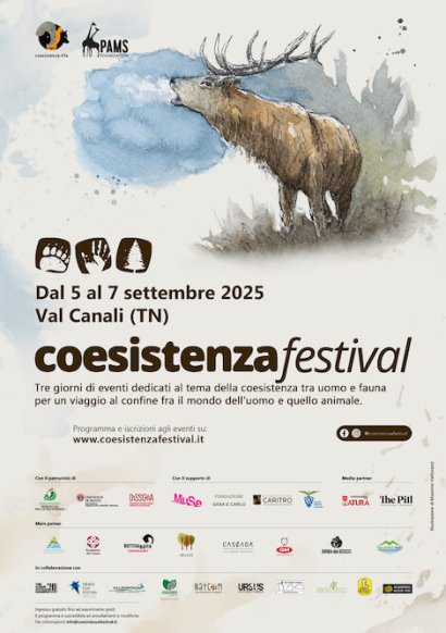Coesistenza Festival