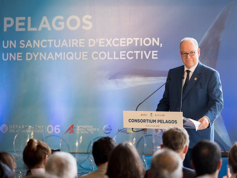 Santuario Pelagos