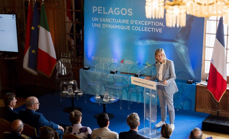 Un’alleanza per la tutela dei cetacei nel Santuario Pelagos