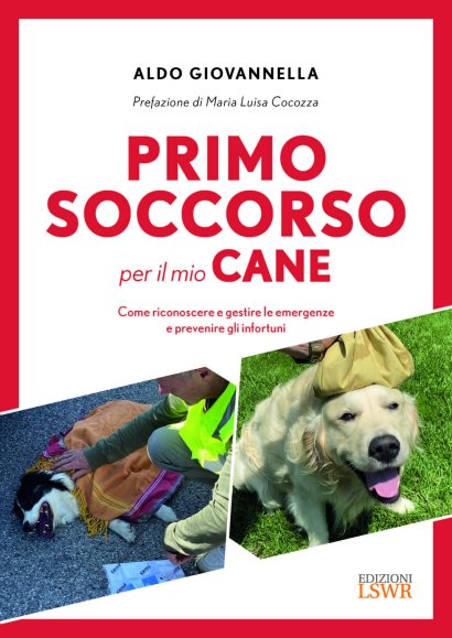 cani in vacanza