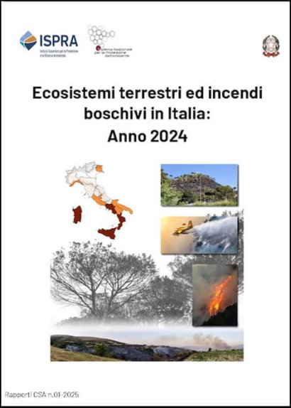 incendi boschivi