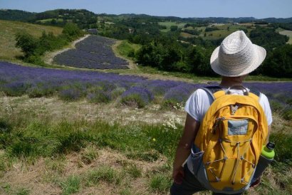 Anello della Lavanda