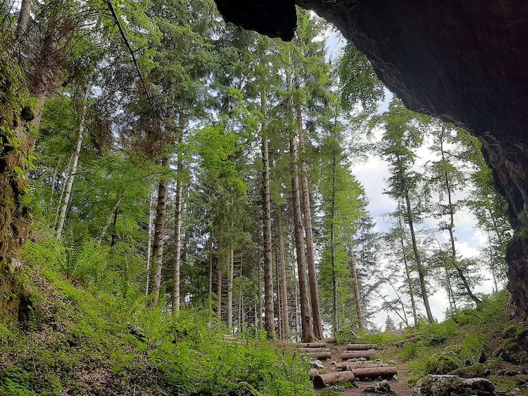 SelvArt