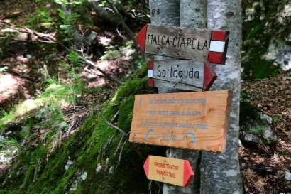 Sottoguda