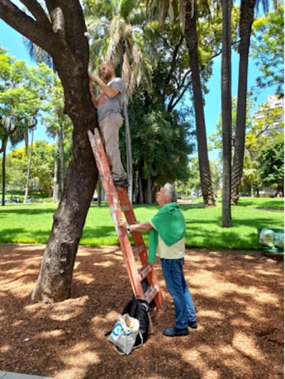 conservazione delle opere d'arte