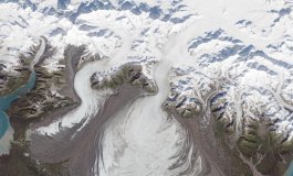 Come la Terra si cura da sola
