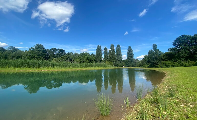 Milano inaugura il nuovo lago naturalistico