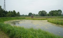 Inaugurata la nuova Oasi WWF a San Giuliano Milanese
