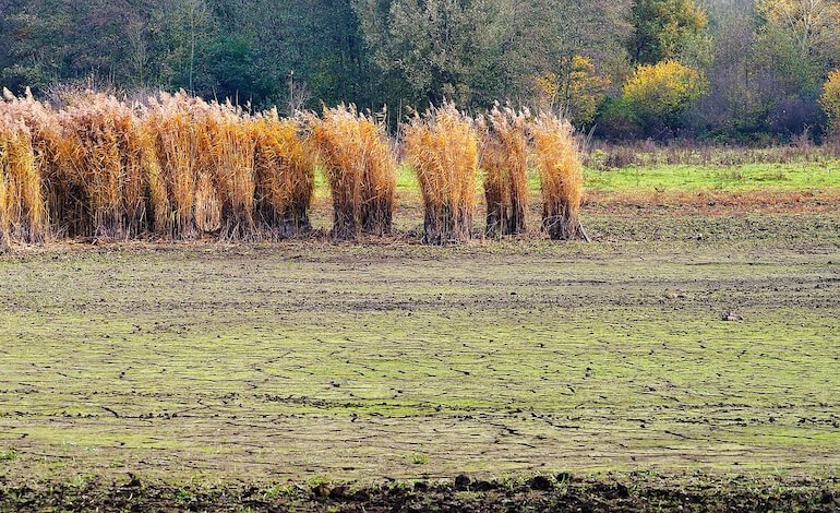 Agire con rapidità per affrontare la scarsità d’acqua