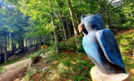 SelvArt, il Sentiero Arte Natura