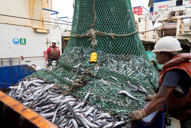 pesca certificata