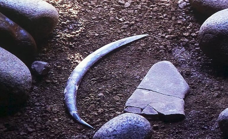 Il sorprendente ingegno dell’Homo Sapiens