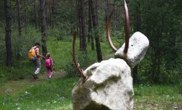 A spasso tra arte e natura: Ledro Land Art