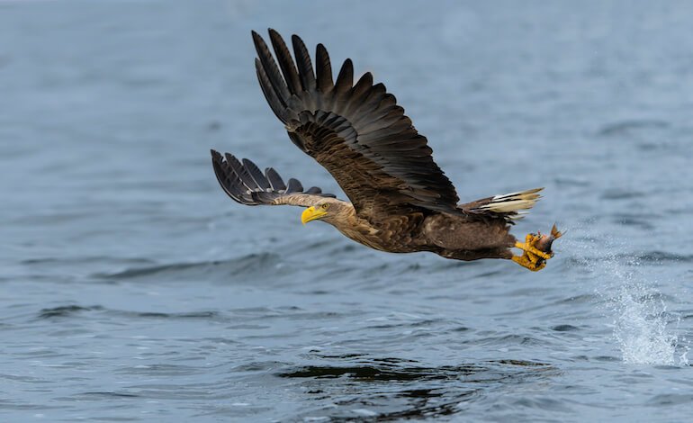 In attesa di un ritorno