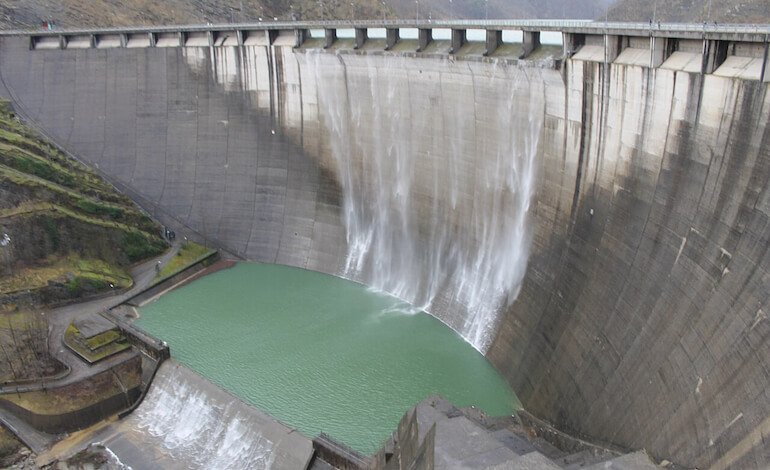 Le foreste mitigano le microplastiche nei laghi