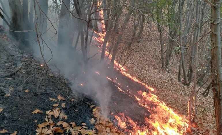Incendi, clima e certificazione forestale