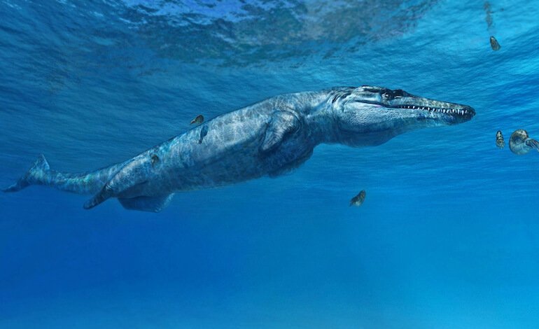 I giganti marini al tempo dei dinosauri