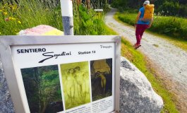 Sulle tracce di Segantini