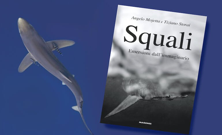 Il fascino degli squali