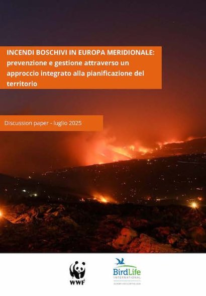 Incendi in Europa