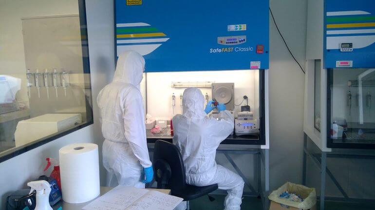 I ricercatori dell’Università di Pavia