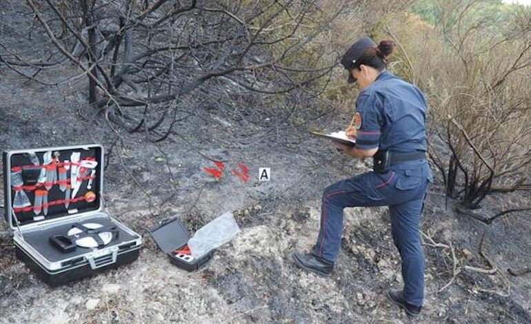 Carabinieri “supereroi” del clima: le eccellenze dell’Arma si uniscono per salvare i boschi