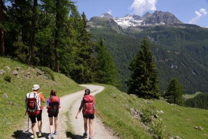 Monte Rosa Randò